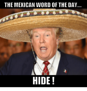 The Mexican Word of the Day Memes