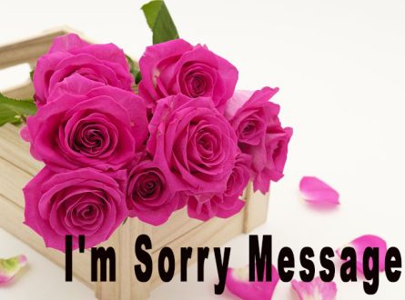 I'm Sorry Message to your lover in 2020