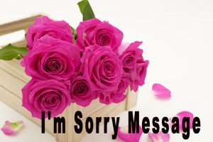 I'm Sorry Message to your lover