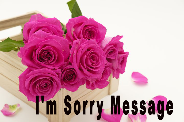 I'm Sorry Message to your lover in 2020