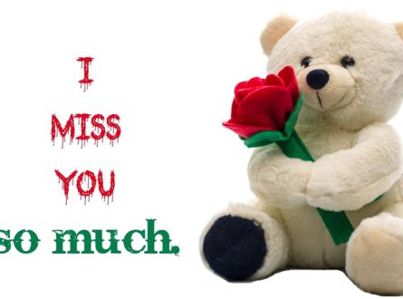 I Miss You Messages for Girlfriend