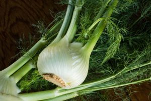 FENNEL