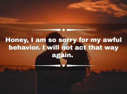 apology message to my love - part one