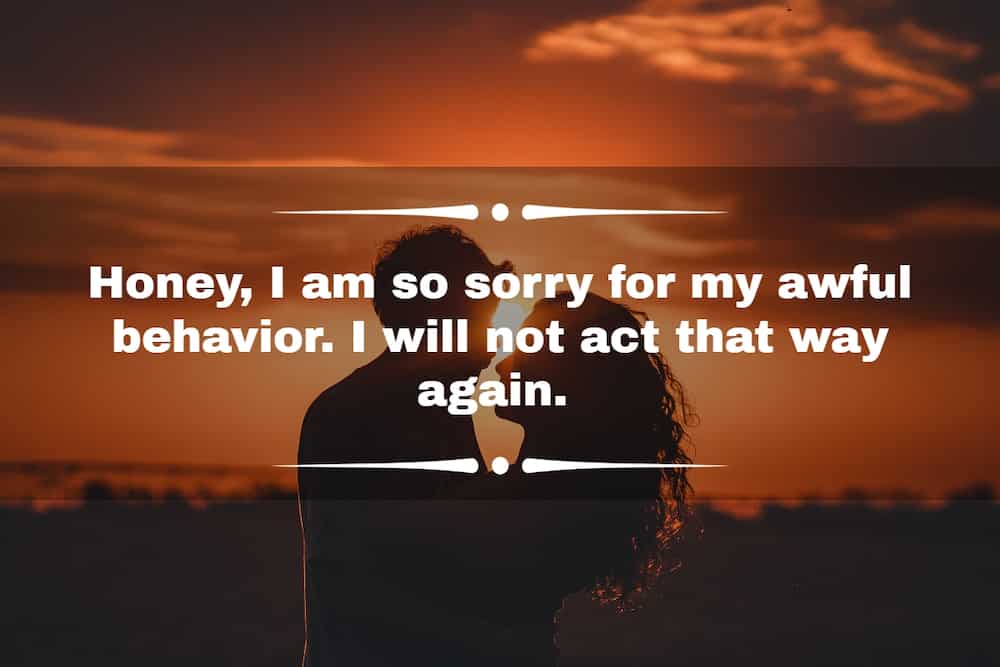 apology message to my love - part one