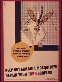 How to Treat Malaria in the Middle East